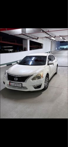 التيما 2015
