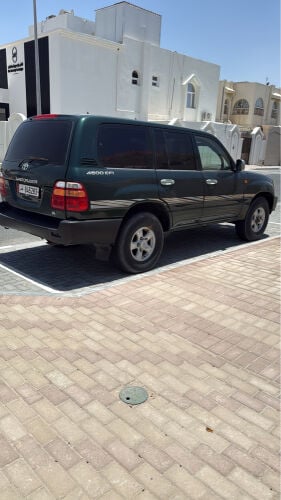 استمارة ريس