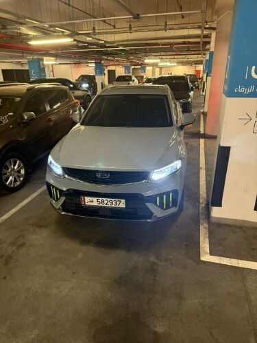 جيلي توجيلا