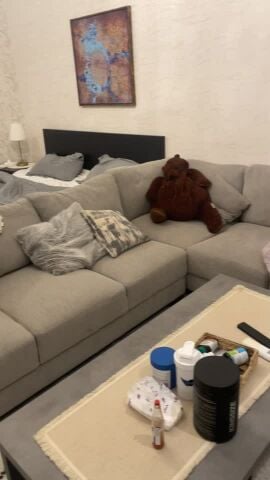 comfy sofa L