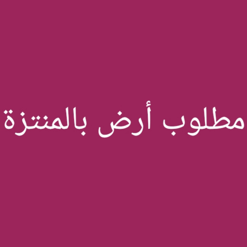 مطلوب أرض بالمنتزة.