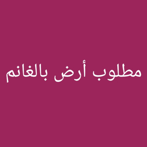 مطلوب أرض بالغانم