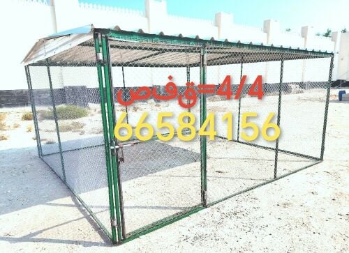 4/4=قن دجاج وحمام