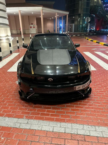 mustang 