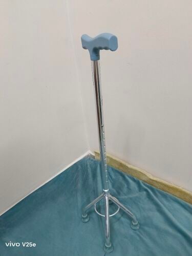 Brand new walking stick