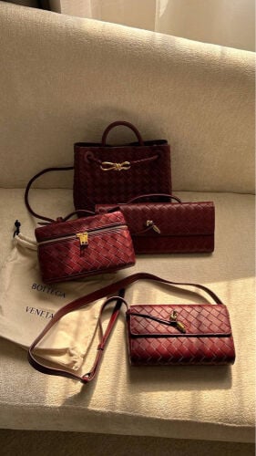 Bottega Veneta Small Andiamo 