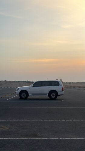 محمد القحطاني 