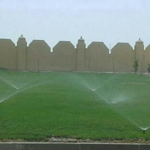 ترتيب الحديقه