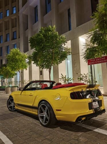 mustang 2013