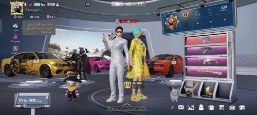 حساب ببجي للبيع