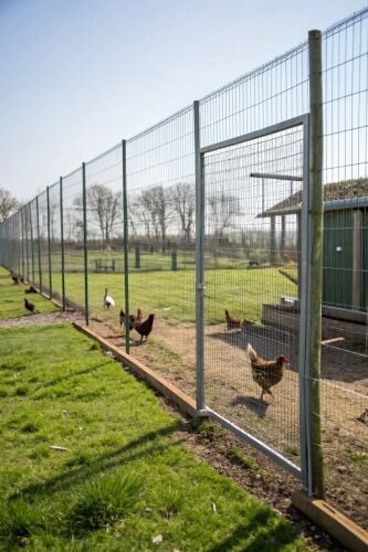 Chicken coop