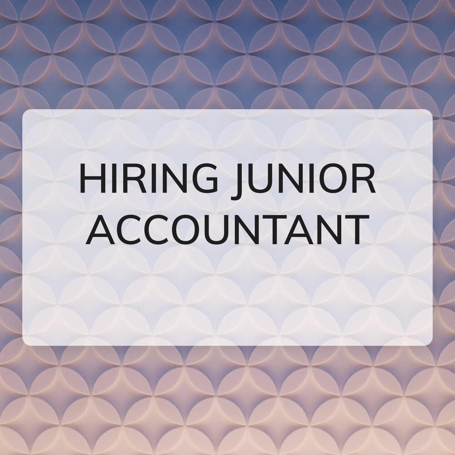 Hiring junior accountant