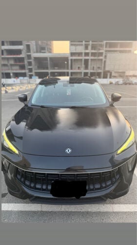 دونجفنج 