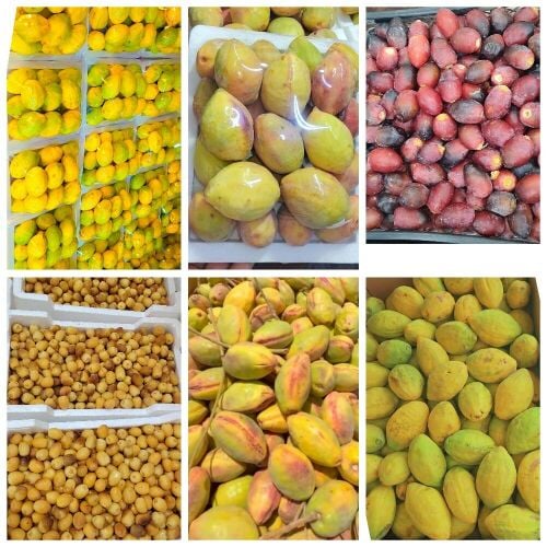 لوز رطب و سمن بقر قطر