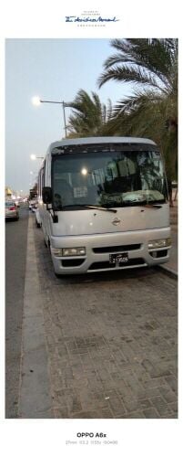داود