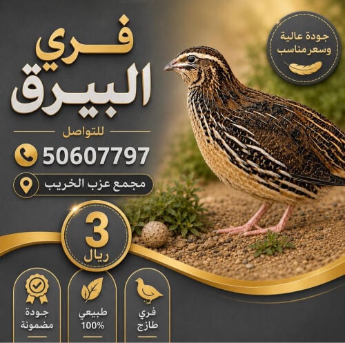 فري 