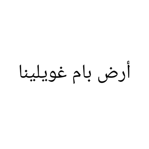 مطلوب أرض بام غويلينا
