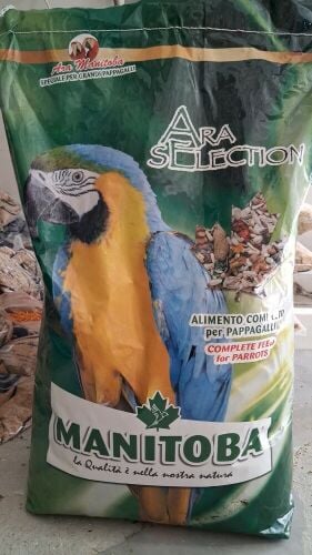 parrot food