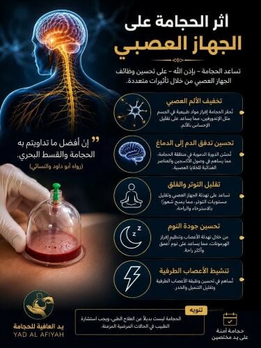 حجامه الجهاز العصبي