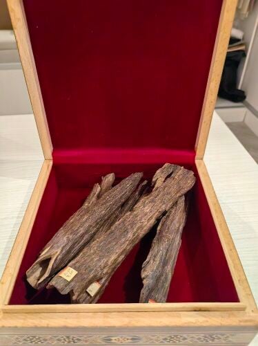 6 large pieces of rare Indian Nagal