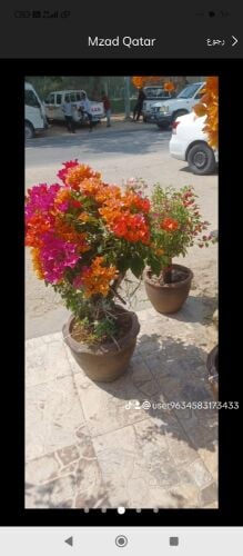 احواض زراعه