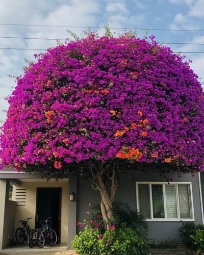 اجمل الجهنميات