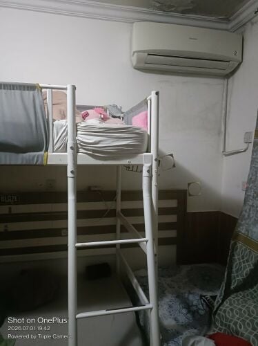 bunker bed