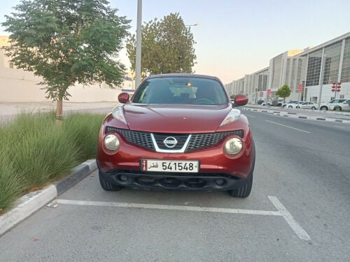 نيسان جوك 2013