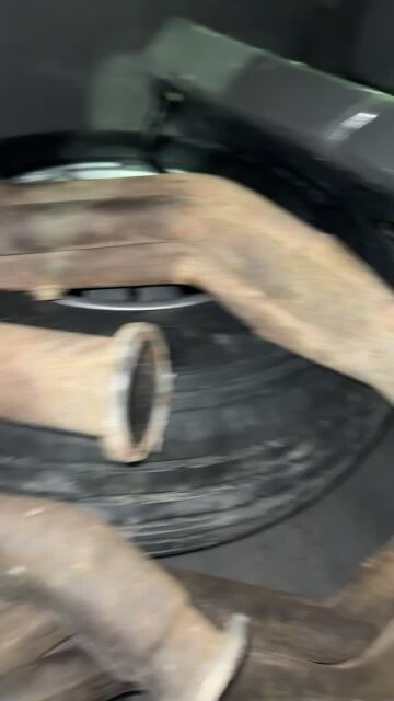للبيع منيفول امريكن ريسنق اصلي