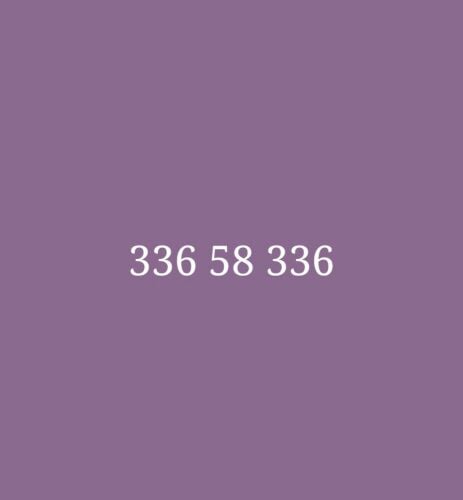 336 58 336