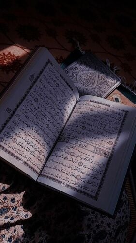 منه الله علاء