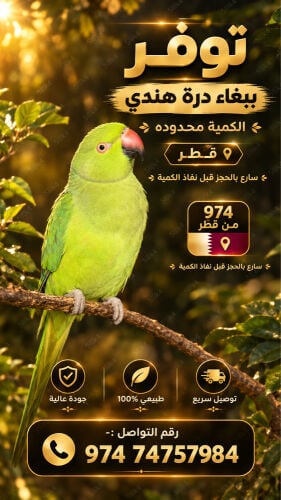 للبيع 