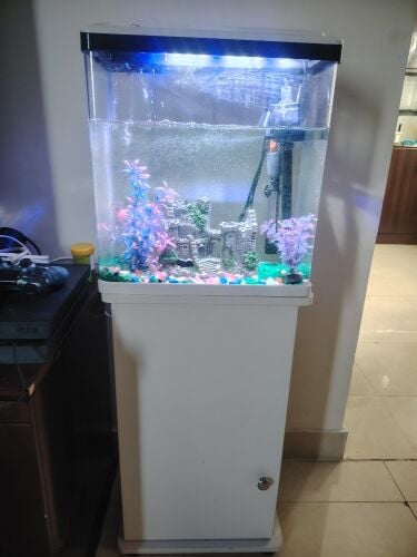 Large Fish Aquarium with Cabinet,