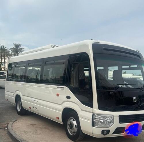 ZhongTong Bus 28 seats