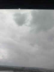 مطلوب صقار 