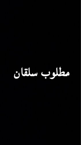 مطلوب سلقان