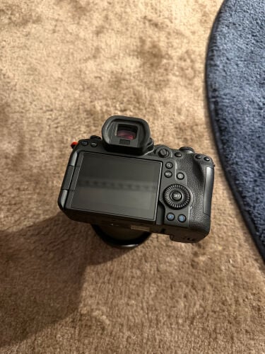 canon r6 