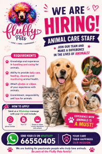 Pets Attendant