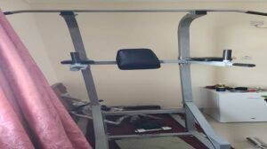 Home Gym-Power Tower with Dip Stati