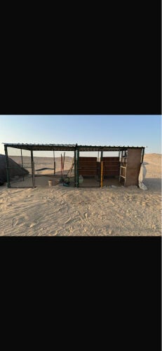 للبيع قفص العدد2 مستعمل مقاس 3/3