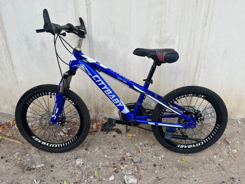 bicycle for kids 20 size 