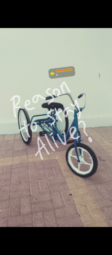 cycle for sale