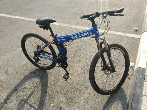 Big Camel Folding Bicycle