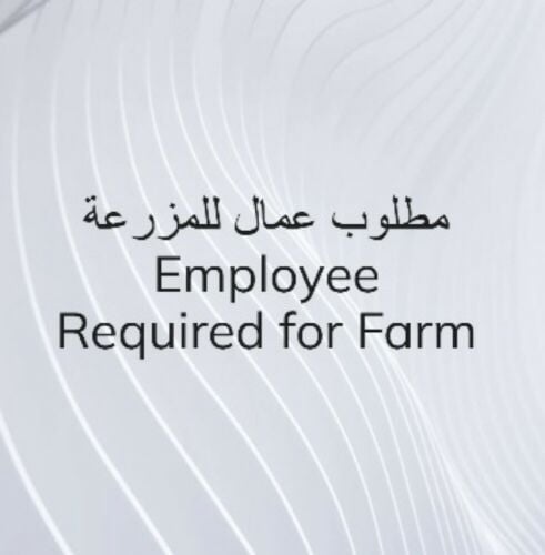 مطلوب للمزرعة