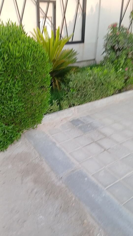 أبو نوره لصيانه الحدائق