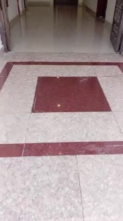 شقه للايجار
