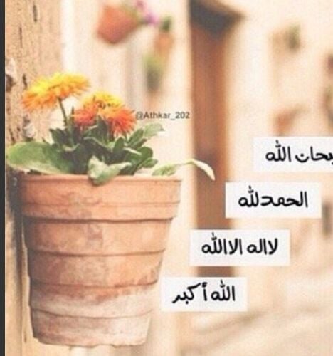 مدرسة إسلاميات وتحفيظ قرآن