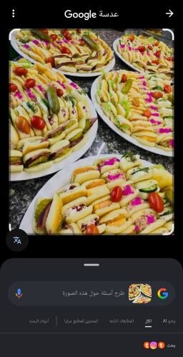 مطلوب شيف ساندويشات وسناك عربي