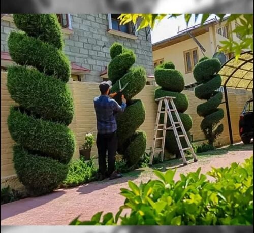 الاعتناء بتنسيق الحدائق