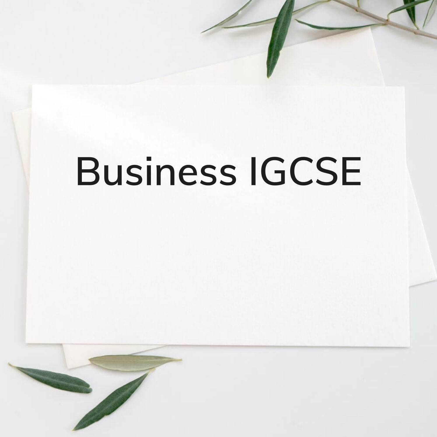 Business IGCSE, Other Subjects